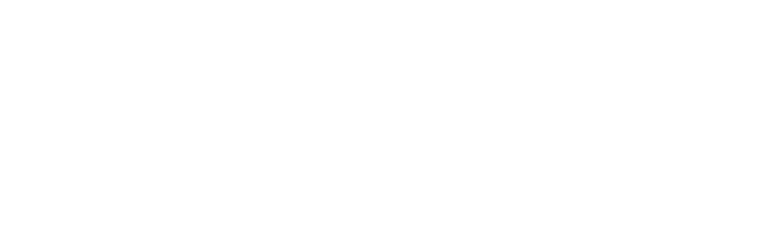 Ace Apostille White0.5x Ace Apostille